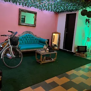 3* Hotel George House #2